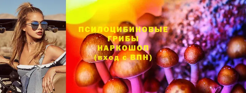 Галлюциногенные грибы MAGIC MUSHROOMS  Ангарск 